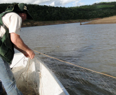 O Instituto Ambiental do Paraná (IAP) anuncia o período de restrição à pesca de espécies nativas no Paraná a partir desta sexta-feira (01) e segue até março de 2020. Todas as espécies nativas do Estado são protegidas, como bagre, dourado, jaú, pintado e lambari. É durante esse período, conhecido como piracema, que a maioria delas se reproduz. Foto: Arquivo/IAP