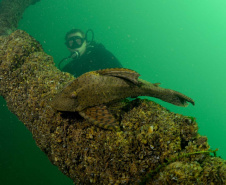 Localizado no Noroeste do Paraná, a cerca de 173 quilômetros de Maringá,  Porto Rico vem se tornando um destino cada vez mais procurado para férias e lazer nos fins de semana. O município de pouco mais de 3 mil habitantes é banhado pelo Rio Paraná, o que propicia aproveitar praias de água doce, a prática de esportes aquáticos, passeios de barco e lancha, além da pesca. Curitiba, 08-11-2019-Foto: Fabio Dias/Acervo EPR