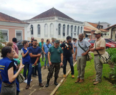 A Secretaria da Saúde do Paraná orienta a manter os ambientes limpos e organizados para evitar o aparecimento de animais peçonhentos, como aranhas, escorpiões, serpentes, que têm maior incidência em períodos de calor. Dados de 2018 indicam que no Paraná aconteceram mais de 18 mil acidentes com algum tipo de animal peçonhento.Foto: Divulgação/SESA