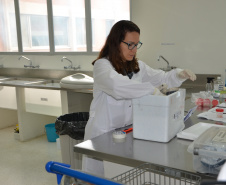 O Centro de Diagnóstico Marcos Enrietti, vinculado à Agência de Defesa Agropecuária do Paraná (Adapar), trabalha como apoio à defesa agropecuária do Paraná e realiza aproximadamente 100 mil exames por ano. Eles ajudam a manter a saúde animal e a sanidade vegetal de boa parte dos produtos consumidos no País e exportados.Foto: Divulgação/SEAB