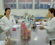 O Centro de Diagnóstico Marcos Enrietti, vinculado à Agência de Defesa Agropecuária do Paraná (Adapar), trabalha como apoio à defesa agropecuária do Paraná e realiza aproximadamente 100 mil exames por ano. Eles ajudam a manter a saúde animal e a sanidade vegetal de boa parte dos produtos consumidos no País e exportados.Foto: Divulgação/SEAB