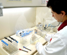 O Centro de Diagnóstico Marcos Enrietti, vinculado à Agência de Defesa Agropecuária do Paraná (Adapar), trabalha como apoio à defesa agropecuária do Paraná e realiza aproximadamente 100 mil exames por ano. Eles ajudam a manter a saúde animal e a sanidade vegetal de boa parte dos produtos consumidos no País e exportados.Foto: Divulgação/SEAB