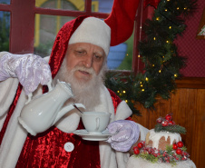 Festas de Natal já iluminam muitas cidades do Paraná. Francisco Beltrão. Foto: Prefeitura de Francisco Beltrão