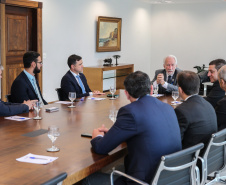 O governador em exercício, Darci Piana recebe dirigentes da Copel e da ANEEL  em reunião no Palácio Iguaçu.    Curitiba, 19/11/2019 -  Foto: Geraldo Bubniak/AEN