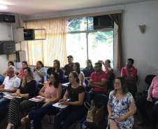 A Força-Tarefa Infância Segura, criada pela Secretaria da Justiça, Família e Trabalho, reuniu nesta terça-feira (19) cerca de 600 pessoas de 205 municípios em um curso, transmitido via webconferência, para a formação interdisciplinar de profissionais do Sistema de Garantia dos Direitos da Criança e do Adolescente do Paraná. Foto: Divulgação/SEJUF
