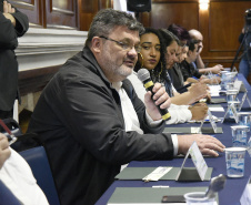 Paraná disputa vagas no Conselho Nacional de Política Cultural.Foto: Kraw Penas/SEEC