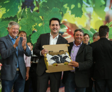 O Governador Carlos Massa Ratinho Júnior e o secretário estadual da Agricultura e Abastecimento, Norberto Ortigara, lançam nesta terça-feira (26),  o programa de Desenvolvimento e Revitalização da Viticultura e da Agroindústria Vitícola no Paraná, o Revitis.   Curitiba, 26/11/2019 - Foto: Geraldo Bubniak/AEN