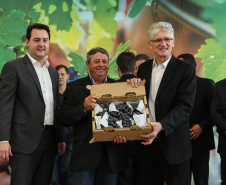 O Governador Carlos Massa Ratinho Júnior e o secretário estadual da Agricultura e Abastecimento, Norberto Ortigara, lançam nesta terça-feira (26),  o programa de Desenvolvimento e Revitalização da Viticultura e da Agroindústria Vitícola no Paraná, o Revitis.   Curitiba, 26/11/2019 - Foto: Geraldo Bubniak/AEN