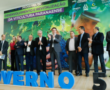 O governador Carlos Massa Ratinho Junior lançou nesta terça-feira (26), no Palácio Iguaçu, o programa Revitis, destinado a estimular a produção de uvas no Paraná. Iniciativa inédita no Estado, o programa está apoiado em quatro eixos: incentivo para a produção, reorganização da comercialização, desenvolvimento do turismo e apoio à agroindústria.