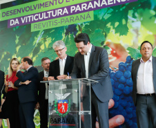 O governador Carlos Massa Ratinho Junior lançou nesta terça-feira (26), no Palácio Iguaçu, o programa Revitis, destinado a estimular a produção de uvas no Paraná. Iniciativa inédita no Estado, o programa está apoiado em quatro eixos: incentivo para a produção, reorganização da comercialização, desenvolvimento do turismo e apoio à agroindústria.