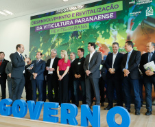 O governador Carlos Massa Ratinho Junior lançou nesta terça-feira (26), no Palácio Iguaçu, o programa Revitis, destinado a estimular a produção de uvas no Paraná. Iniciativa inédita no Estado, o programa está apoiado em quatro eixos: incentivo para a produção, reorganização da comercialização, desenvolvimento do turismo e apoio à agroindústria.