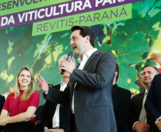 O governador Carlos Massa Ratinho Junior lançou nesta terça-feira (26), no Palácio Iguaçu, o programa Revitis, destinado a estimular a produção de uvas no Paraná. Iniciativa inédita no Estado, o programa está apoiado em quatro eixos: incentivo para a produção, reorganização da comercialização, desenvolvimento do turismo e apoio à agroindústria.