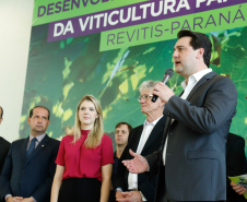 O governador Carlos Massa Ratinho Junior lançou nesta terça-feira (26), no Palácio Iguaçu, o programa Revitis, destinado a estimular a produção de uvas no Paraná. Iniciativa inédita no Estado, o programa está apoiado em quatro eixos: incentivo para a produção, reorganização da comercialização, desenvolvimento do turismo e apoio à agroindústria.