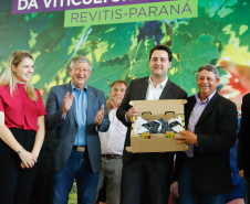 O governador Carlos Massa Ratinho Junior lançou nesta terça-feira (26), no Palácio Iguaçu, o programa Revitis, destinado a estimular a produção de uvas no Paraná. Iniciativa inédita no Estado, o programa está apoiado em quatro eixos: incentivo para a produção, reorganização da comercialização, desenvolvimento do turismo e apoio à agroindústria.