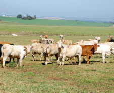 Foto: Arquivo/AEN