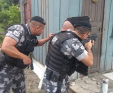 Polícia Militar desarticula quadrilhas no Litoral e RMC. Foto:PMPR
