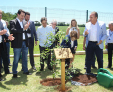 A ministra da Agricultura, Pecuária e Abastecimento, Tereza Cristina, assinou nesta sexta-feira (06), durante evento com a presença do governador Carlos Massa Ratinho Junior, instrução normativa que reforça o reconhecimento do Paraná como área livre da peste suína clássica (PSC). O documento desmembra o Estado de um grupo que era formado por 14 unidades federativas.
