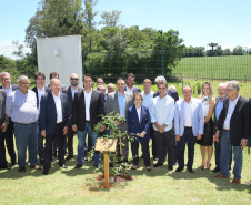 A ministra da Agricultura, Pecuária e Abastecimento, Tereza Cristina, assinou nesta sexta-feira (06), durante evento com a presença do governador Carlos Massa Ratinho Junior, instrução normativa que reforça o reconhecimento do Paraná como área livre da peste suína clássica (PSC). O documento desmembra o Estado de um grupo que era formado por 14 unidades federativas.