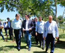 A ministra da Agricultura, Pecuária e Abastecimento, Tereza Cristina, assinou nesta sexta-feira (06), durante evento com a presença do governador Carlos Massa Ratinho Junior, instrução normativa que reforça o reconhecimento do Paraná como área livre da peste suína clássica (PSC). O documento desmembra o Estado de um grupo que era formado por 14 unidades federativas.
