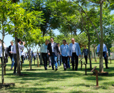 A ministra da Agricultura, Pecuária e Abastecimento, Tereza Cristina, assinou nesta sexta-feira (06), durante evento com a presença do governador Carlos Massa Ratinho Junior, instrução normativa que reforça o reconhecimento do Paraná como área livre da peste suína clássica (PSC). O documento desmembra o Estado de um grupo que era formado por 14 unidades federativas.