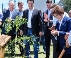 A ministra da Agricultura, Pecuária e Abastecimento, Tereza Cristina, assinou nesta sexta-feira (06), durante evento com a presença do governador Carlos Massa Ratinho Junior, instrução normativa que reforça o reconhecimento do Paraná como área livre da peste suína clássica (PSC). O documento desmembra o Estado de um grupo que era formado por 14 unidades federativas.