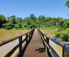 Considerado um dos mais antigos do Estado e um dos poucos fragmentos florestais da região, o Parque Estadual São Camilo, localizado em Palotina, completa 35 anos. “O objetivo da área é proteger a fauna e a flora local, além de proporcionar à população lazer e contado com a natureza”, diz o diretor de Biodiversidade e Áreas Protegidas do Instituto Ambiental Paraná (IAP), Rafael Andreguetto. Foto:SEDEST