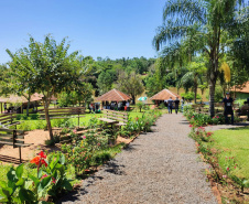 Considerado um dos mais antigos do Estado e um dos poucos fragmentos florestais da região, o Parque Estadual São Camilo, localizado em Palotina, completa 35 anos. “O objetivo da área é proteger a fauna e a flora local, além de proporcionar à população lazer e contado com a natureza”, diz o diretor de Biodiversidade e Áreas Protegidas do Instituto Ambiental Paraná (IAP), Rafael Andreguetto. Foto:SEDEST