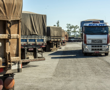 Mesmo antes do encerramento da movimentação em 2019, a exportação de milho via Porto de Paranaguá é 503% maior do que a registrada em 2018, e supera também a movimentação nos cinco anos anteriores. De janeiro a novembro deste ano, foram embarcadas 5,49 milhões de toneladas do grão. No mesmo período do ano passado o volume somou 911,3 mil toneladas.Foto: Claudio Neves/Portos do Paraná 