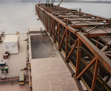 Mesmo antes do encerramento da movimentação em 2019, a exportação de milho via Porto de Paranaguá é 503% maior do que a registrada em 2018, e supera também a movimentação nos cinco anos anteriores. De janeiro a novembro deste ano, foram embarcadas 5,49 milhões de toneladas do grão. No mesmo período do ano passado o volume somou 911,3 mil toneladas.Foto: Claudio Neves/Portos do Paraná 