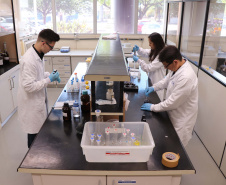 Tecpar apoia estudos pioneiros na área ambiental. Foto: Tecpar