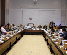 O Paraná prepara para a próxima semana o lançamento de uma força-tarefa de combate à dengue em todo o Estado. As ações foram definidas nesta quinta-feira (12) em reunião no Palácio Iguaçu entre o chefe da Casa Civil, Guto Silva, e os demais integrantes do secretariado, autarquias e empresas públicas estaduais. Está previsto a criação de um grupo permanente contra a proliferação da doença..Foto Gilson Abreu/AEN
