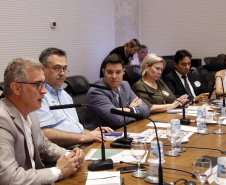 O Paraná prepara para a próxima semana o lançamento de uma força-tarefa de combate à dengue em todo o Estado. As ações foram definidas nesta quinta-feira (12) em reunião no Palácio Iguaçu entre o chefe da Casa Civil, Guto Silva, e os demais integrantes do secretariado, autarquias e empresas públicas estaduais. Está previsto a criação de um grupo permanente contra a proliferação da doença..Foto Gilson Abreu/AEN