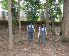 No “Dia D” de combate à dengue organizado pelo Governo do Estado, nesta quarta-feira (18), a incubadora do Instituto de Tecnologia do Paraná (Tecpar) recebe uma nova empresa – a Forrest Brasil Tecnologia, que desenvolveu um projeto inovador para ataque ao mosquito Aedes aegypti.Foto: Tecpar