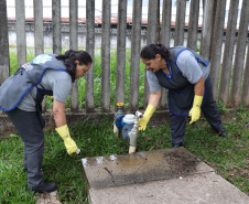 No “Dia D” de combate à dengue organizado pelo Governo do Estado, nesta quarta-feira (18), a incubadora do Instituto de Tecnologia do Paraná (Tecpar) recebe uma nova empresa – a Forrest Brasil Tecnologia, que desenvolveu um projeto inovador para ataque ao mosquito Aedes aegypti.Foto: Tecpar