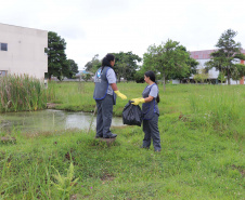 No “Dia D” de combate à dengue organizado pelo Governo do Estado, nesta quarta-feira (18), a incubadora do Instituto de Tecnologia do Paraná (Tecpar) recebe uma nova empresa – a Forrest Brasil Tecnologia, que desenvolveu um projeto inovador para ataque ao mosquito Aedes aegypti.Foto: Tecpar