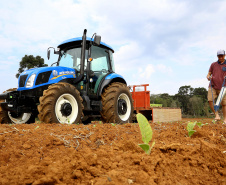 Trator solidário, Plantação de fumo. Na imagem Lucas Geraldo. Ipiranga, 12/09/2019 Foto: Jaelson Lucas / AEN