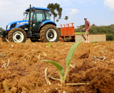 Trator solidário, Plantação de fumo. Na imagem Lucas Geraldo. Ipiranga, 12/09/2019 Foto: Jaelson Lucas / AEN