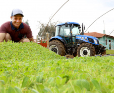 Trator solidário, Plantação de fumo. Na imagem Lucas Geraldo. Ipiranga, 12/09/2019 Foto: Jaelson Lucas / AEN
