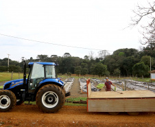 Trator solidário, Plantação de fumo. Na imagem Lucas Geraldo. Ipiranga, 12/09/2019 Foto: Jaelson Lucas / AEN