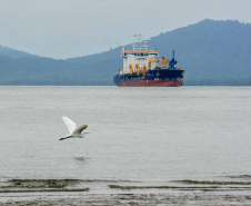 Portos conquistam descentralização e investem em obras e meio ambiente. Foto:Portos do Paraná