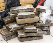 Polícias apreendem 107 toneladas de drogas de janeiro a setembro. 