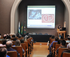 Aprimorar os atendimentos de mulheres em gestação de risco e de fetos com malformações é um dos pilares que a saúde pública busca incessantemente no Paraná. Exemplo dessa busca pela saúde pública, são as capacitações constantes realizadas pela Secretaria de Estado da Saúde.
Foto: Sesa