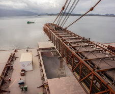  Porto de Paranaguá alcançou na madrugada desta terça-feira (31) a marca de 53.098.566 toneladas de produtos movimentados. O número, que deve aumentar ao longo do dia, já supera o recorde do ano passado, quando foram 53.029.221 toneladas.  Foto: Claudio Nívea/Portos do Paraná