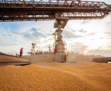  Porto de Paranaguá alcançou na madrugada desta terça-feira (31) a marca de 53.098.566 toneladas de produtos movimentados. O número, que deve aumentar ao longo do dia, já supera o recorde do ano passado, quando foram 53.029.221 toneladas.  Foto: Claudio Nívea/Portos do Paraná