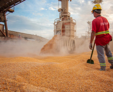  Porto de Paranaguá alcançou na madrugada desta terça-feira (31) a marca de 53.098.566 toneladas de produtos movimentados. O número, que deve aumentar ao longo do dia, já supera o recorde do ano passado, quando foram 53.029.221 toneladas.  Foto: Claudio Nívea/Portos do Paraná