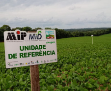 O sistema Alerta Ferrugem, desenvolvido pelo Instituto Paranaense de Assistência Técnica e Extensão Rural (Emater), está entre as melhores ferramentas de monitoramento da ferrugem asiática da soja do mundo. São 248 pontos de coleta de esporos em aproximadamente 200 municípios paranaenses, uma rede que desde 2016 tem colaborado para retardar a primeira aplicação de fungicidas, reduzindo seu uso em cerca de 35%. Foto:SEAB