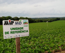 O sistema Alerta Ferrugem, desenvolvido pelo Instituto Paranaense de Assistência Técnica e Extensão Rural (Emater), está entre as melhores ferramentas de monitoramento da ferrugem asiática da soja do mundo. São 248 pontos de coleta de esporos em aproximadamente 200 municípios paranaenses, uma rede que desde 2016 tem colaborado para retardar a primeira aplicação de fungicidas, reduzindo seu uso em cerca de 35%. Foto:SEAB