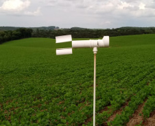 O sistema Alerta Ferrugem, desenvolvido pelo Instituto Paranaense de Assistência Técnica e Extensão Rural (Emater), está entre as melhores ferramentas de monitoramento da ferrugem asiática da soja do mundo. São 248 pontos de coleta de esporos em aproximadamente 200 municípios paranaenses, uma rede que desde 2016 tem colaborado para retardar a primeira aplicação de fungicidas, reduzindo seu uso em cerca de 35%. Foto:SEAB
