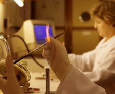 O levantamento foi feito pelo Centro de Estudos da Ciência e Tecnologia da Universidade de Leiden, na Holanda. O ranking leva em consideração artigos catalogados pela Web of Science, banco de dados que reúne pesquisas científicas do mundo todo.
Foto: SETI