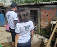 A Polícia Civil do Paraná (PCPR) fez nesta quarta-feira (08), em Guaratuba, uma ação de prevenção a maus-tratos a animais. Policiais civis, médicos veterinários e técnicos da vigilância sanitária fiscalizaram duas residências, no bairro Mirim, para verificar a condição de guarda, saúde e higiene dos animais abrigados nos locais. Foto:SESP